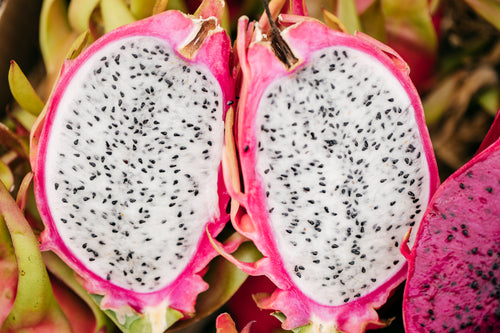 Pitahaya Blanca Ecológica – Cultivo Ecológico Málaga – La Pitayera