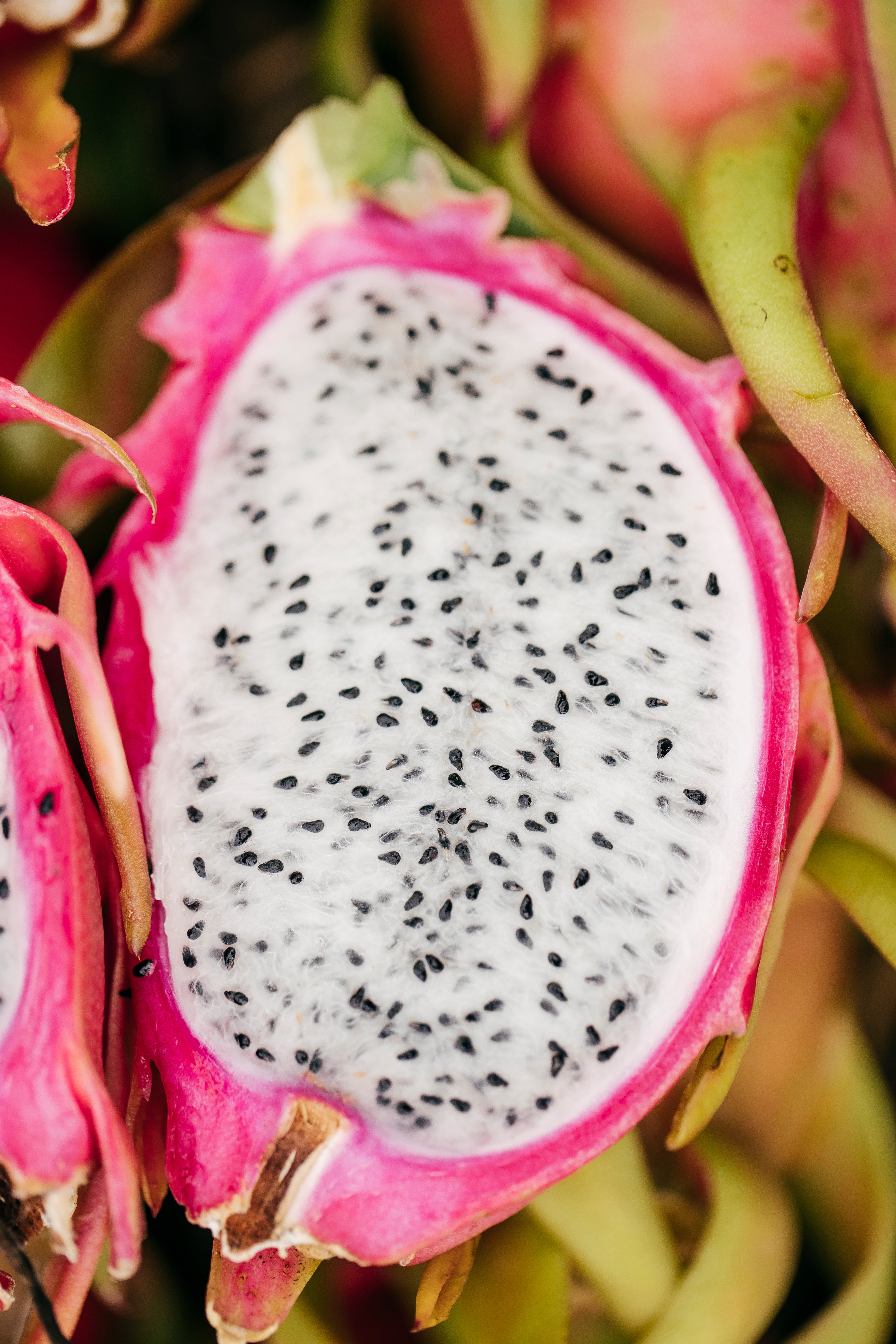 Pitahaya Roja y Blanca Ecológica – Caja Mixta Ecológica Málaga – La Pitayera